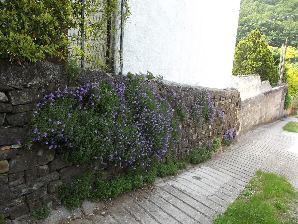 Rio Farneto B&B Longera Exterior photo